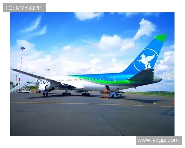 武汉乒乓球队逆袭之旅揭秘世界杯背后的奋斗与荣耀